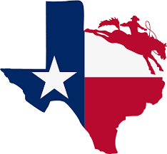Fast Texans Home Buyers logo
